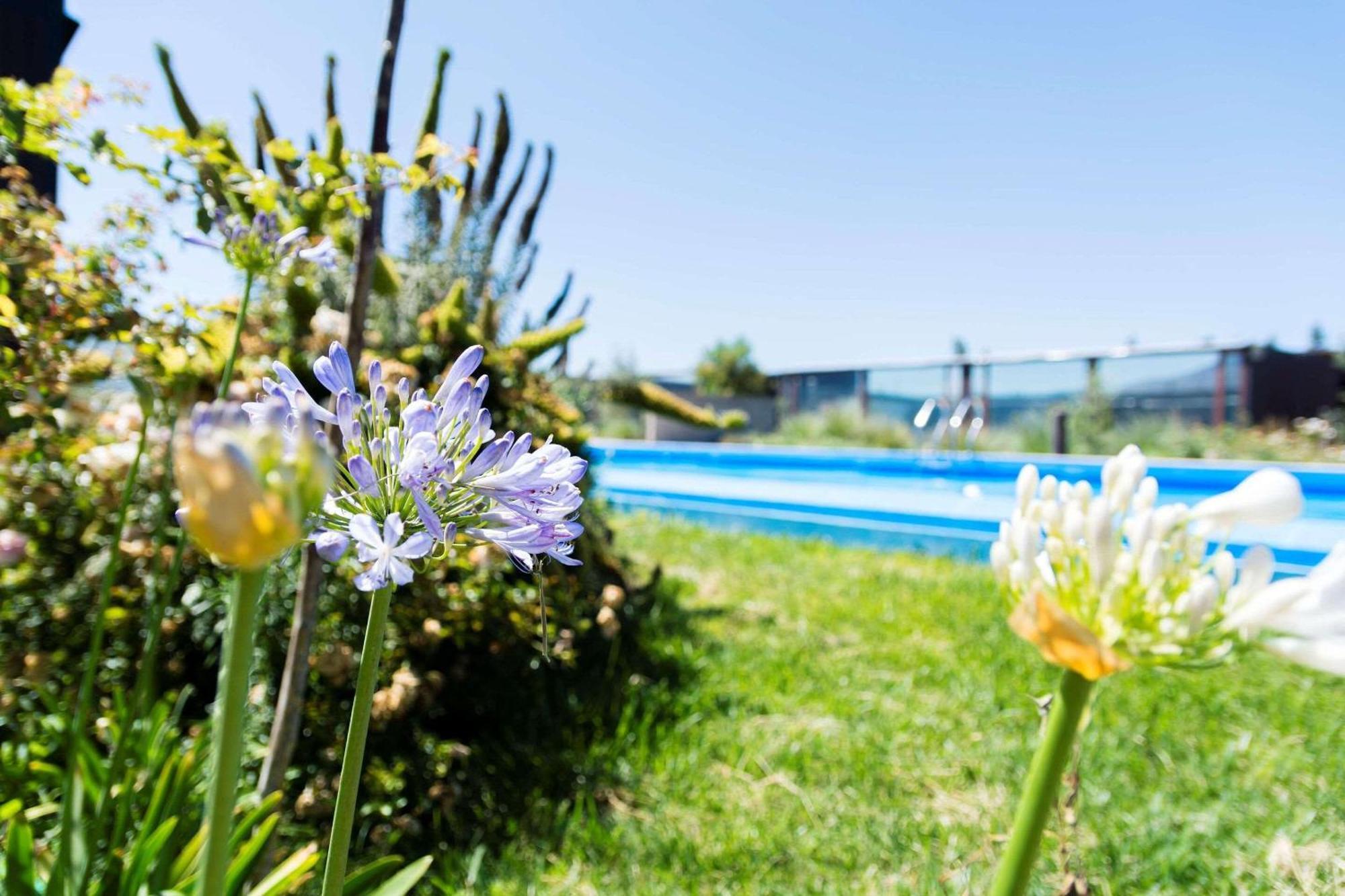 Park Inn By Radisson Los Olivos De Vallenar Exterior foto